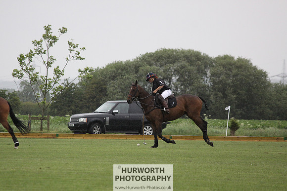White Rose Polo 062