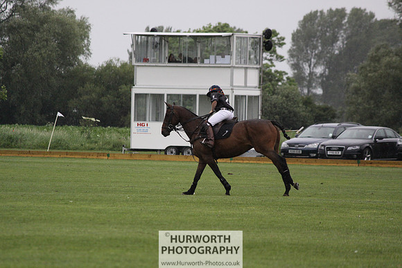 White Rose Polo 063