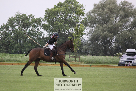 White Rose Polo 065