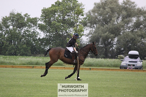 White Rose Polo 066