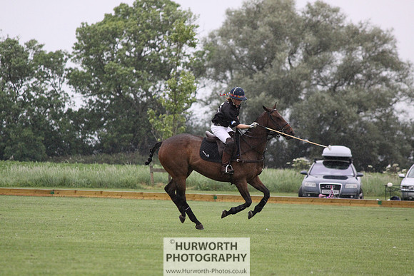 White Rose Polo 067