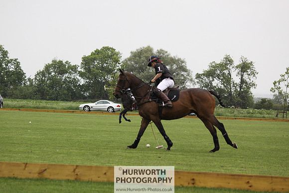 White Rose Polo 068