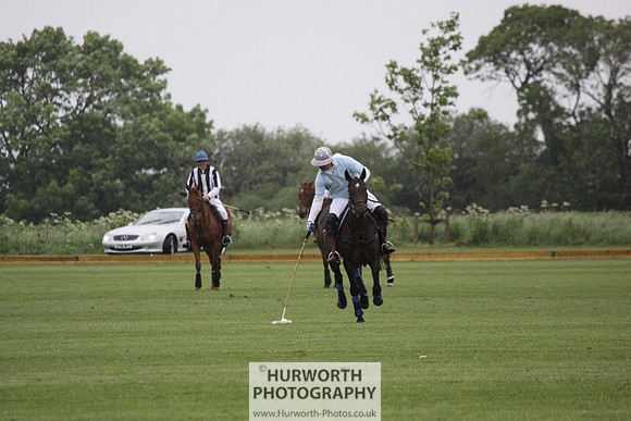 White Rose Polo 069