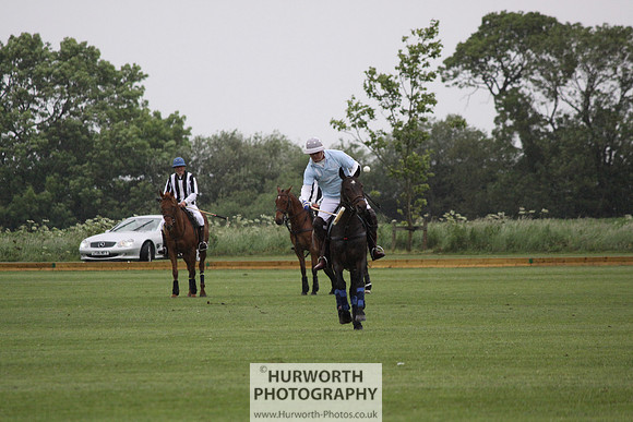 White Rose Polo 070