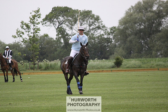 White Rose Polo 071