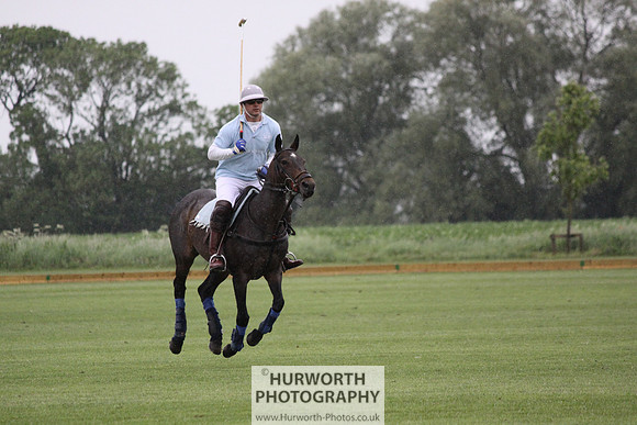 White Rose Polo 072