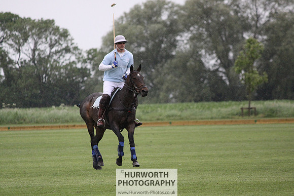 White Rose Polo 073