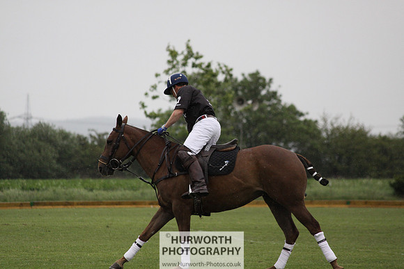 White Rose Polo 075