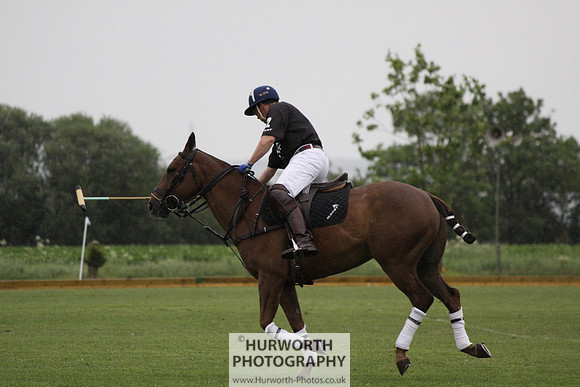 White Rose Polo 076
