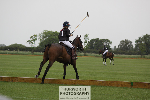 White Rose Polo 078
