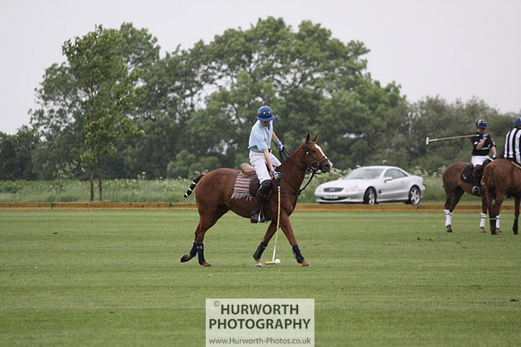 White Rose Polo 079