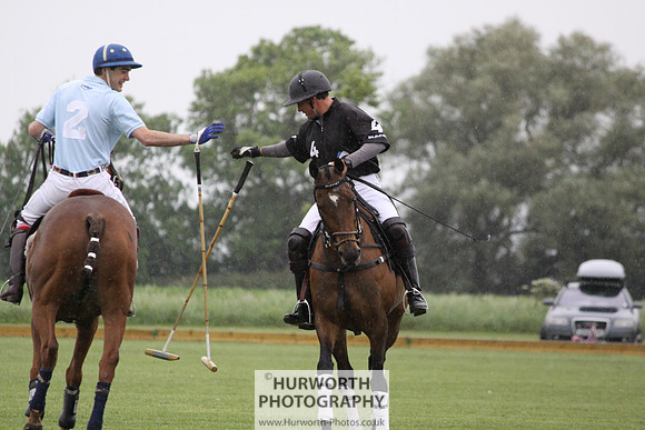 White Rose Polo 082