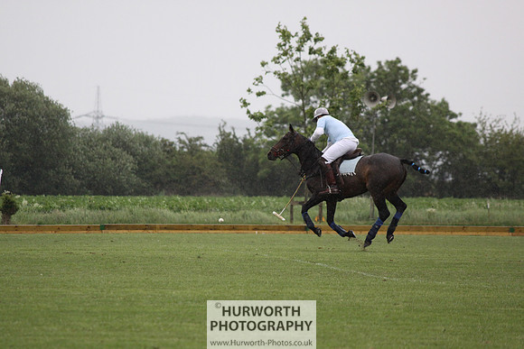 White Rose Polo 084