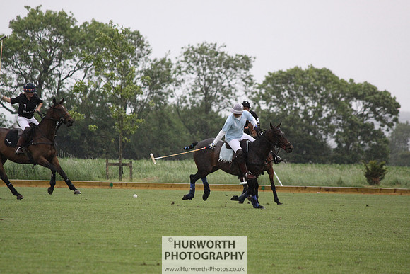 White Rose Polo 086