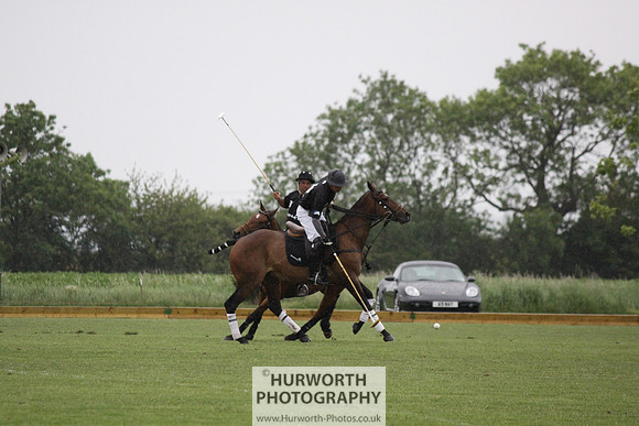 White Rose Polo 087