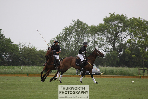 White Rose Polo 088