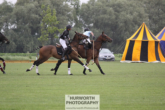 White Rose Polo 089