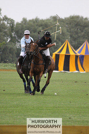 White Rose Polo 090
