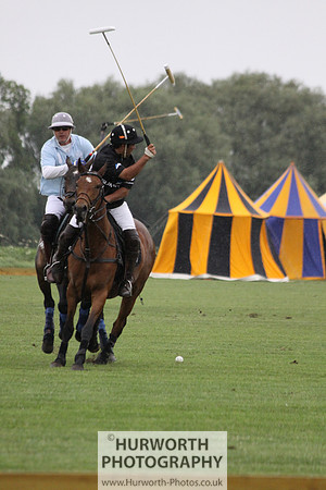 White Rose Polo 091