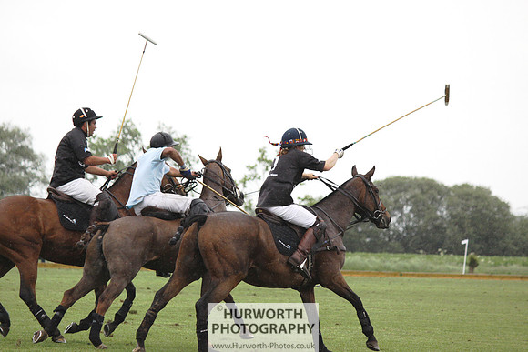 White Rose Polo 093