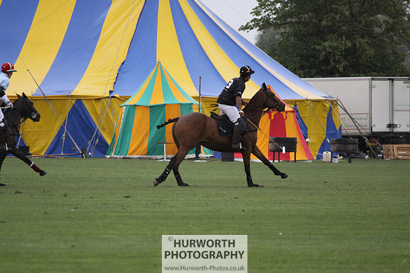 White Rose Polo 094