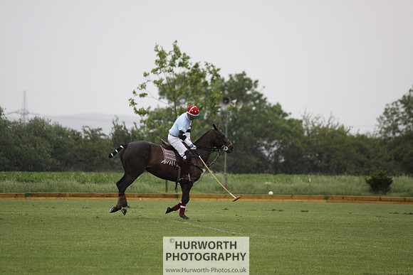 White Rose Polo 095