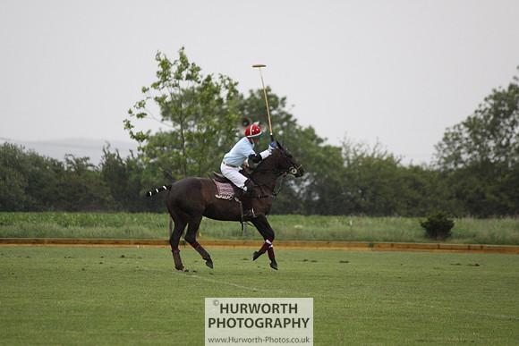 White Rose Polo 096