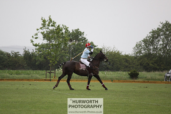 White Rose Polo 097