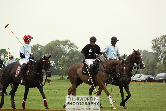 White Rose Polo 102