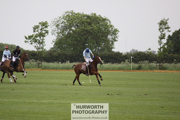 White Rose Polo 108