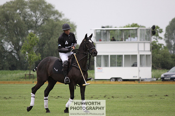 White Rose Polo 115