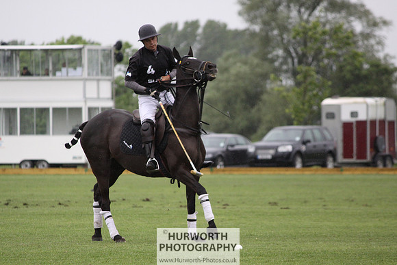 White Rose Polo 116