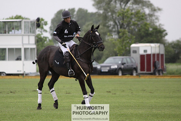 White Rose Polo 117