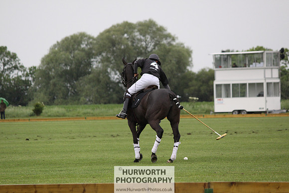 White Rose Polo 118