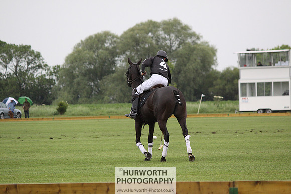 White Rose Polo 119