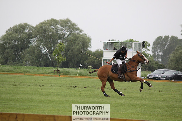 White Rose Polo 120