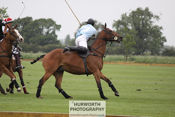 White Rose Polo 121