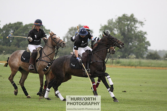 White Rose Polo 123
