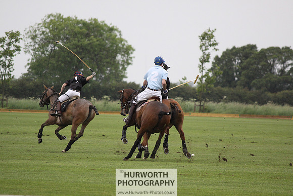 White Rose Polo 126