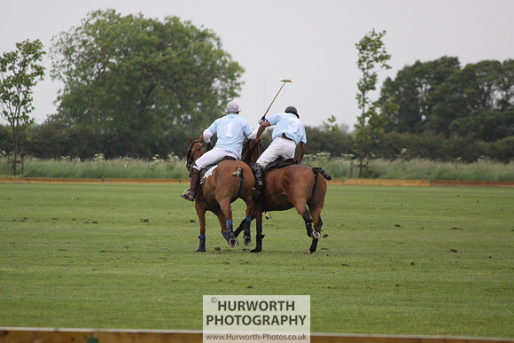 White Rose Polo 127
