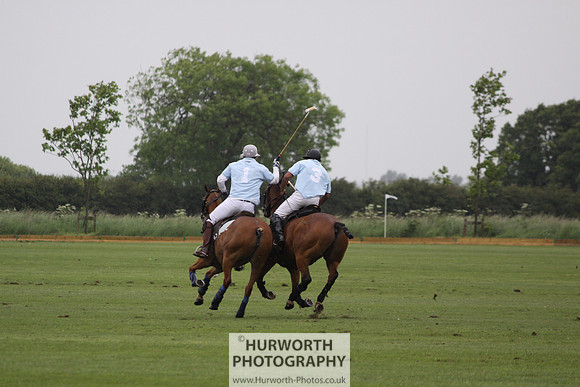 White Rose Polo 128