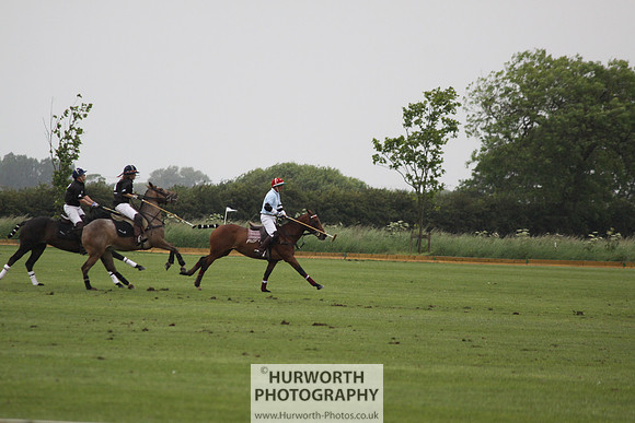 White Rose Polo 129