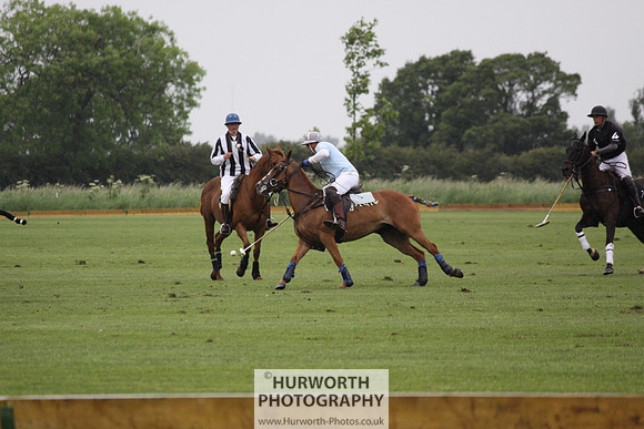 White Rose Polo 133