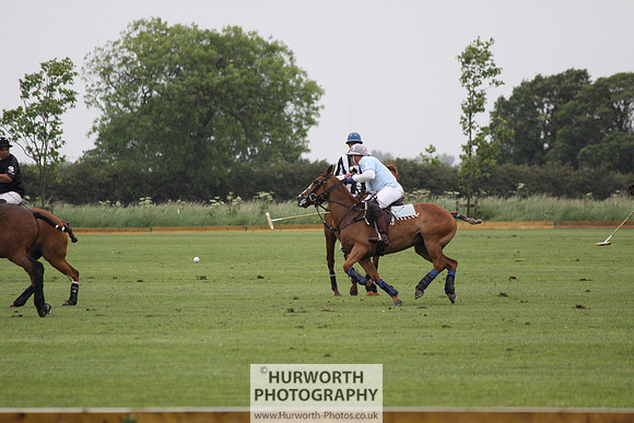 White Rose Polo 134