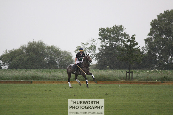 White Rose Polo 136