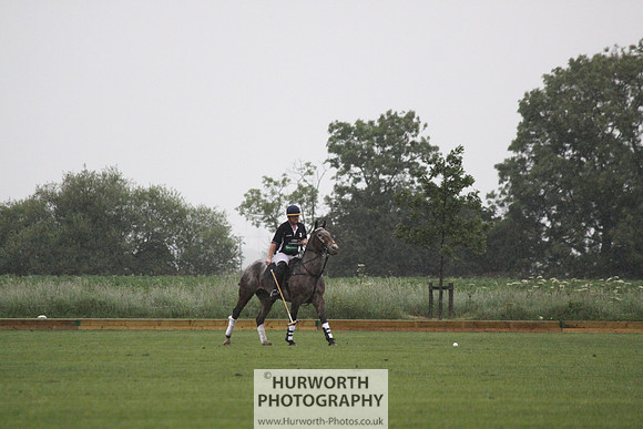 White Rose Polo 137