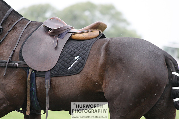 White Rose Polo 138