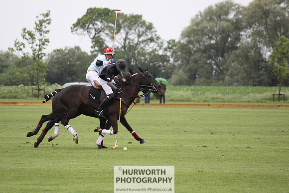 White Rose Polo 140