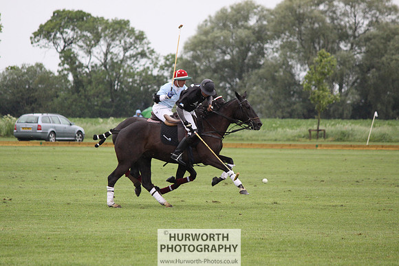 White Rose Polo 141