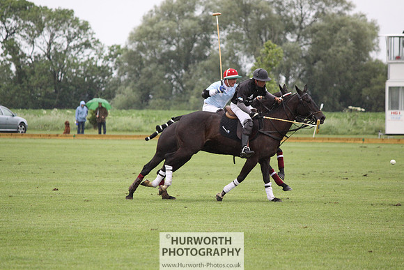 White Rose Polo 142